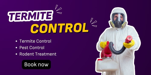 Pest Control Service
